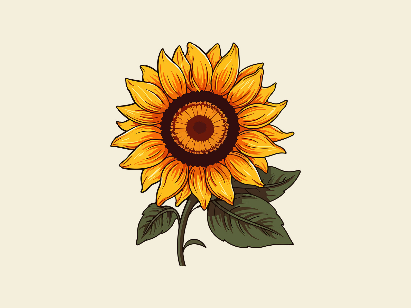 Plant Drawing, sunflower leaf, leaf, branch, monochrome png | PNGWing